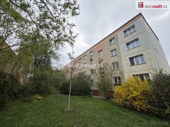 +popl. 5000, záloha pro jednu osobu, záloha na služby pro dv