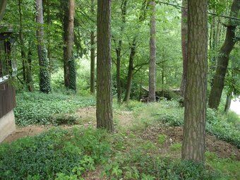 Nabízím chatu na vlastním pozemku o velikosti 588m2, zastavě