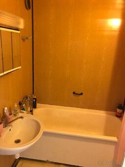 Dobrý den, prodám opravdu prostorný, cca 110 m2 velký, dvoug
