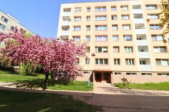 Ev.č. 20341 Nabízím k pronájmu pěkný, kompletně zrekonstruov