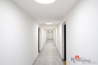 Pronájem, byty/2+kk, 52 m2, Ke křížku, Kladno, Kladno [ID 81