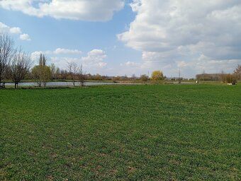 Prodám ideální 1/2 pozemku par.č.2678 (827 m2) v katastr.úze