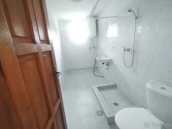 Máme pro vás pronájem prostorného bytu 1+kk/33 m2, na ulici 