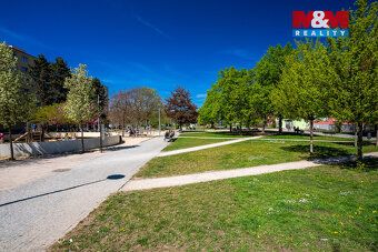 Prodej družstevního bytu 1+1 s balkónem v cihlové zástavbě u