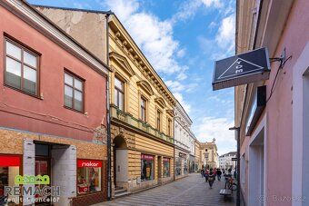 Ev.č. 03539 Zrekonstruovaný podkrovní byt o dispozici 1+kk, 