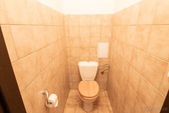 Pronájem bytu 1+1, 40 m², Králův Dvůr – Počaply, parkování v
