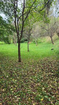 Prodám chalupu,zastavěná plocha a nádvoří 906 m2,zahrada 122