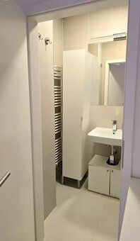 Nabízíme k pronájmu byt atypický a velmi světlý byt 2+kk+gal
