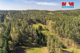 Nabízíme k prodeji lesní pozemek o celkové výměře 2 645 m² v