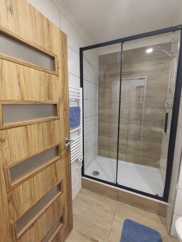 NEplatíte provizi. Pronájem světlého bytu 1+kk (24m2) v jede