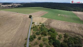 , prodej pozemku o celkové rozloze 3943 m² v obci Sýkořice n
