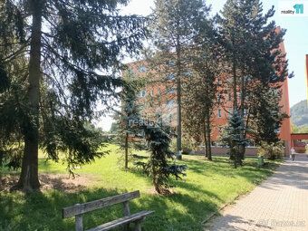 + služby 2 500,-/dle počtu os., pronájem nově zrekonstruovan