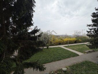 Ev.č. 01556 Nabízíme ke koupi byt 1+kk v osobním vlastnictví