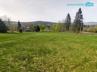 Nabízíme k prodeji pozemek o velikosti 5 869 m2 u obce Nový 