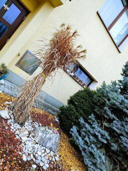 Pronájem bytu 2+kk, 52 m² v rodinném domě – Klatovy. Nabízím