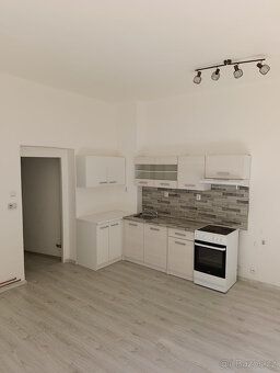 Měsíční nájem 20.000,- Kč Měsíční služby 1.000,- Kč za osobu