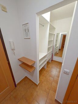 Nabízím Vám k pronájmu bytovou jednotku 1+1 o celkové výměře