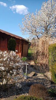 Prodám zahradu ve Svitavách.Prijezd k zahradě autem El.220V 