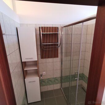 Nabízím k dlouhodobému pronájmu byt 2+1 o rozloze 44 m², kte