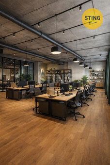 We offer commercial premises for rent of approximately 530 m2