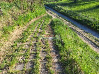 Rented garden near forest in Ivančice district of Brno-venkov on peaceful location at city's edge.
