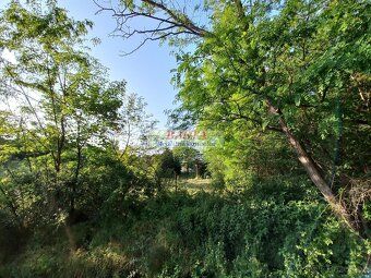 Rented garden near forest in Ivančice district of Brno-venkov on peaceful location at city's edge.
