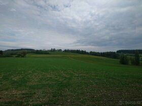 Prodám 5,6 ha scelených luk v katastrálním území Víchovská L