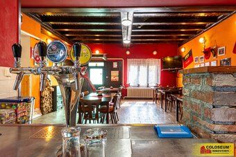 Ref. No. E4348B016-1 EXCEPTIONAL INVESTMENT OPPORTUNITY WITH LIVING POTENTIAL - ŠANOV NEAR…