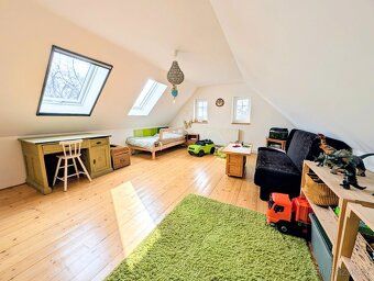Family house / cottage in beautiful peaceful surroundings near Svetlá p.