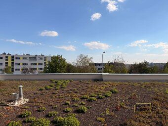 Looking for beautiful new housing in a quiet part of Brno?