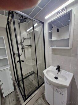 Nabízím k prodeji byt 1+1 v OV po celkové rekonstrukci - roz