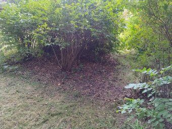 We sell garden plot in personal ownership in cadastral district of Zakupy