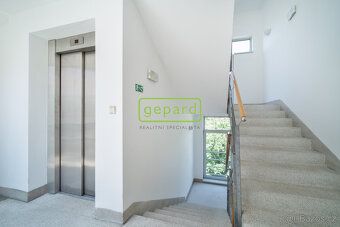 Nabízíme k pronájmu slunný byt 1 + kk o užitné ploše 28 m², 