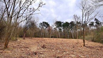 Hledáte pozemek v přírodě kousek od Prahy? S výhledem do kra