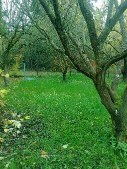 Pronajmu dlouhodobě domek 1+kk, s obytnou verandou, o celkov