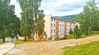 Pronajmu byt 2+1 (45m2) Byt je v přízemí ve městě Meziboří (