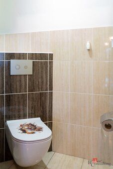 Family house Lípa, 280m2, 4+kk 118m2, 3+kk 118m2, basement 44m
