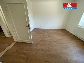 We can arrange rental of representative villa with two apartments