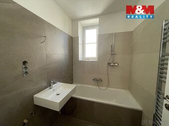 We can arrange rental of representative villa with two apartments