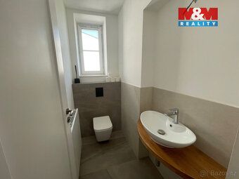 We can arrange rental of representative villa with two apartments