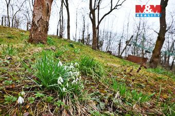 Spring is coming along with the scent of earth, first planting and moments of peace in your own garden.