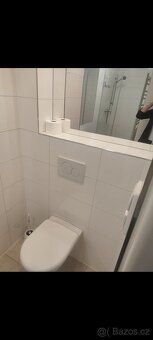 Hledám za sebe náhradu do bytu 3+kk se zahradou, garáží a sk