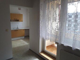 Rent sunny 1 bedroom apartment in quiet house in Chlumec nad Cidlinou