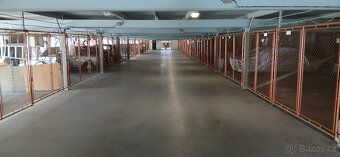 Sell or rent garage space of 12.5 m2 in Hradec Králové