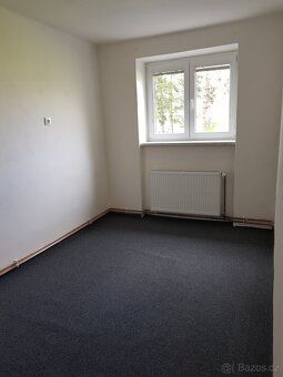 Pronájem bytu 3+1 55 M2 v 1 patře,+3x sklep 20 m2, Hálkova 1