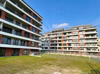 Nabízím od 1.6.2026 k pronájmu byt 1+kk s lodžií v novostavb