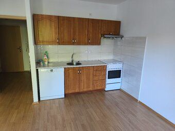 Nabízím pronájem bytu 1+kk o rozloze 34m2 v lokalitě Brno-Vi