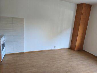 Nabízím pronájem bytu 1+kk o rozloze 34m2 v lokalitě Brno-Vi
