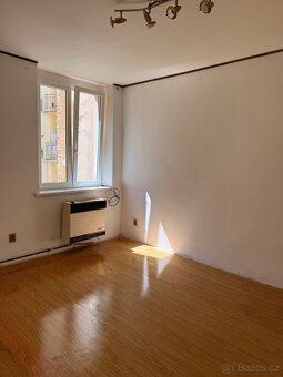 I offer for sale an apartment in Pilsen, 1 bedroom + kitchenette (2 room flat with…