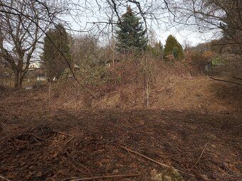 Long-term rental of neglected garden for its proper maintenance